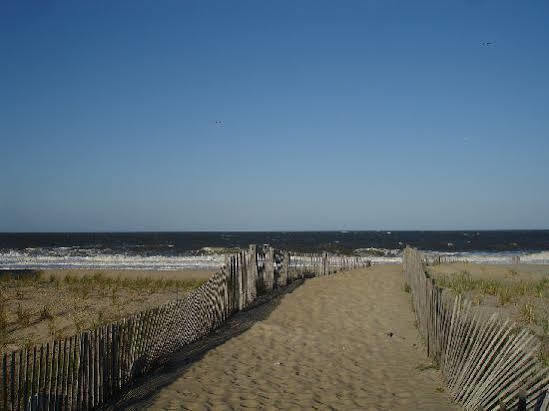 Surf Club Oceanfront Hotel Dewey Beach Exterior photo